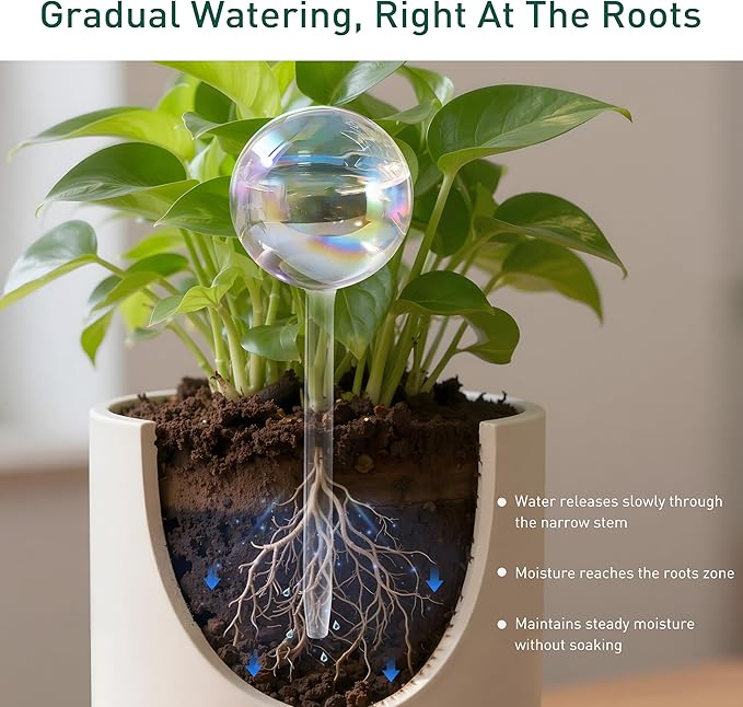 Extra-Thick Clear Glass Plant Watering Globes, Rainbow Gradient Self Watering Devices, Automatic Plant Waterer Spikes for Indoor & Outdoor Plants, Perfect for Everyday or Vacation Use, 4-Pack