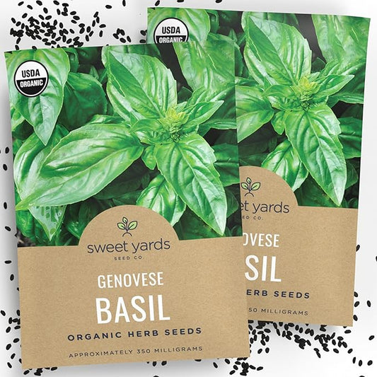 Organic Basil Seeds ‘Genovese’ – Two Seed Packets! – Over 496 Open Pollinated Non-GMO Italian Seeds – Sweet Yards Seed Co.
