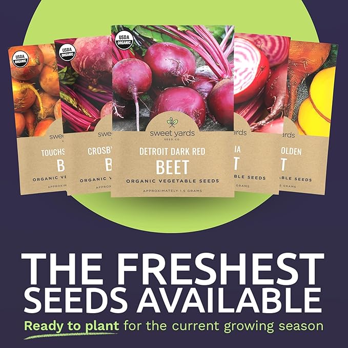 Organic Beet Seeds Variety Pack - 6 Individual Packs - 2026 Season - Detroit Red, Touchstone Gold, Crosby Egyptian and More! for Indoor & Outdoor Planting (Non-GMO, Certified Organic)