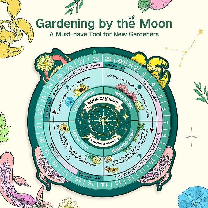 Lush&Dew Zodiac Garden Seed Bank, Gardening Gifts for Women Men, 12 Varieties Non-GMO Vegetables Herb Seeds in Seed Organizer, Magnetic Gift Box, Witchcraft Supplies with Moon Calendar (Water Signs)