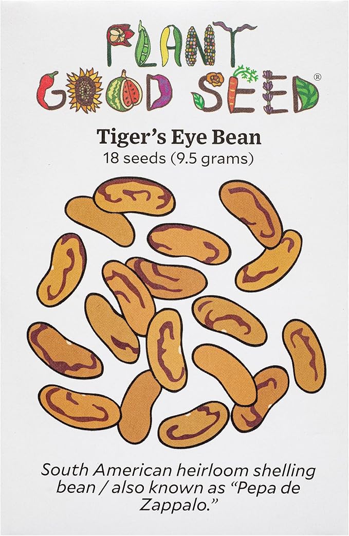 Plant Good Seed Organic Tiger's Eye Bean Seeds for Planting: Heirloom Bush Vegetable, Tan Burgundy Swirled Beans - 18 Seed Packet