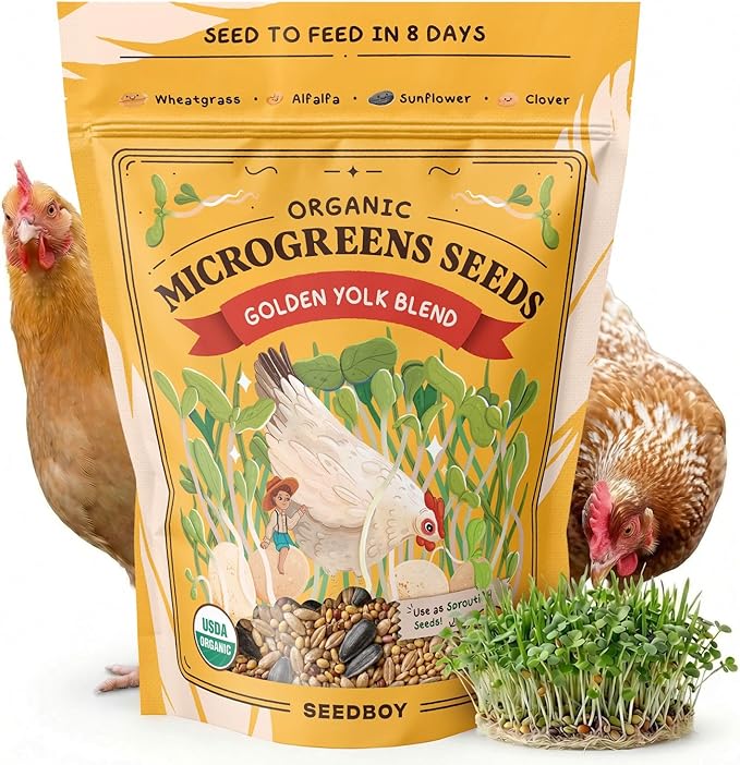 Seedboy Organic Non-GMO Microgreens Seeds for Chickens, Golden Yolk Blend - USA Grown Sprouting Mix with Alfalfa, Clover, Sunflower, Wheatgrass - 8 oz Bag