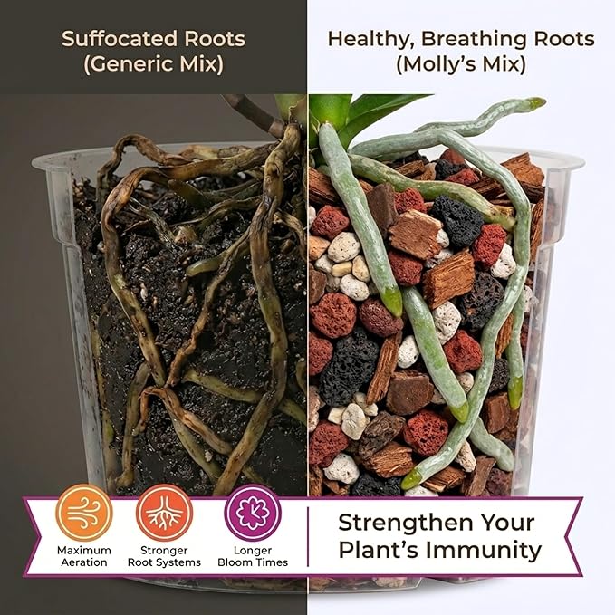 Molly's Orchid Potting Mix - Premium Gritty Soilless Orchid Mix - Chunky High Drainage vs Standard Potting Soil for Indoor Plants - Contains Bark, Coco Chips, Akadama, Pumice, Lava Rock 10 Dry Quarts