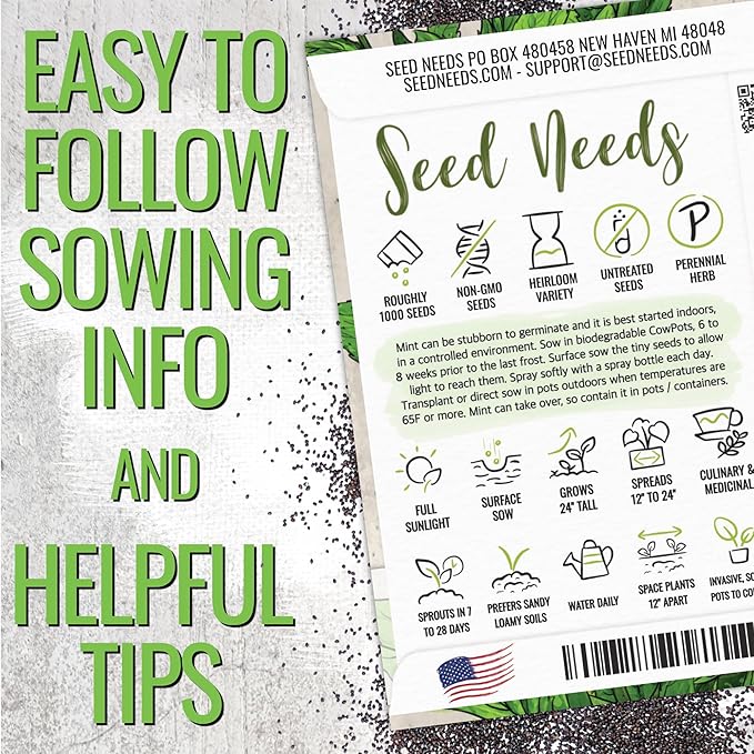 Seed Needs Mint Seeds for Planting Spearmint & Peppermint - Non-GMO Heirloom & Untreated Herb Seed to Plant an Indoor/Outdoor Culinary Medicinal Garden (Collection of 2 Packets)
