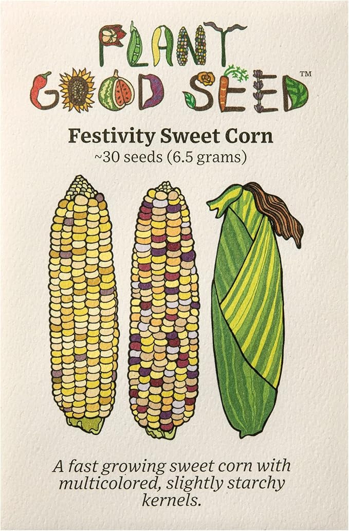 Plant Good Seed Organic Festivity Sweet Corn Seeds for Planting: Heirloom Vegetable, Rainbow Kernels - 30 Seed Packet