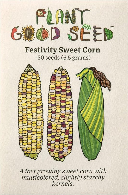 Plant Good Seed Organic Festivity Sweet Corn Seeds for Planting: Heirloom Vegetable, Rainbow Kernels - 30 Seed Packet