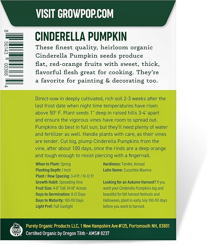 Purely Organic Pumpkin Seeds (Cinderella) - Approx 6 Seeds - Certified Organic, Non-GMO, Open Pollinated, Heirloom, USA Origin