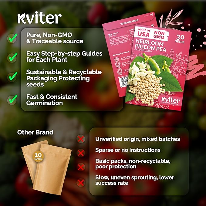 KVITER 30 Guandules Pigeon Peas Seeds for Planting (Cajanus Cajan) – a.k.a Gandules Goya, Gungo Peas, Congo Pea Non GMO & Organic – Heirloom Vegetable Seeds to Plant in Outdoor Garden & Trellises