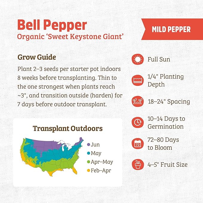 Back to The Roots 100% Organic Seed Packet - Bell Pepper 'Sweet Keystone Giant' 140mg