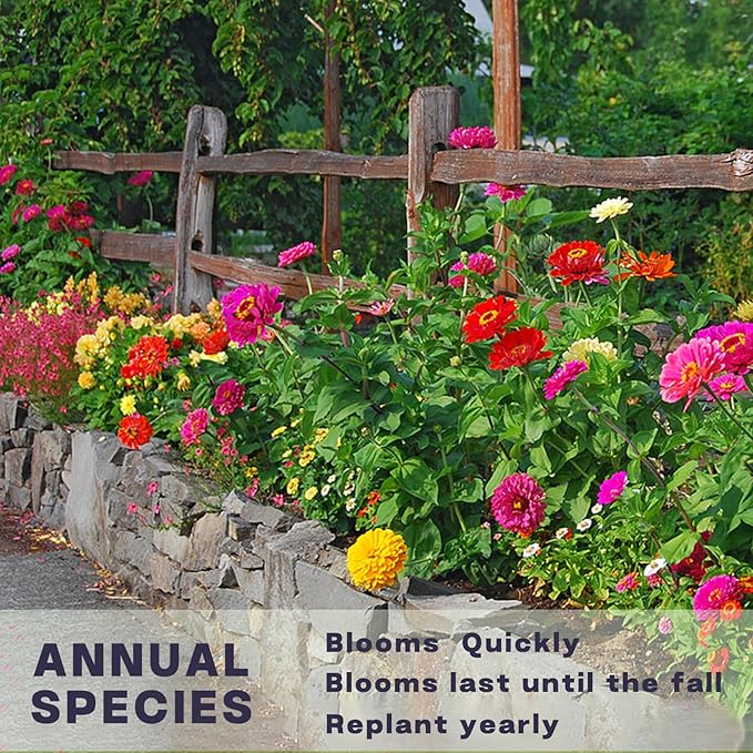 Zinnia Seeds Bulk 5,000+ | Outdoor Flower for Planting |Giant Zinnia Seeds for 2026 | Mixed Colors & Large Blooms for Gardens| High Germination, Beginner-Friendly