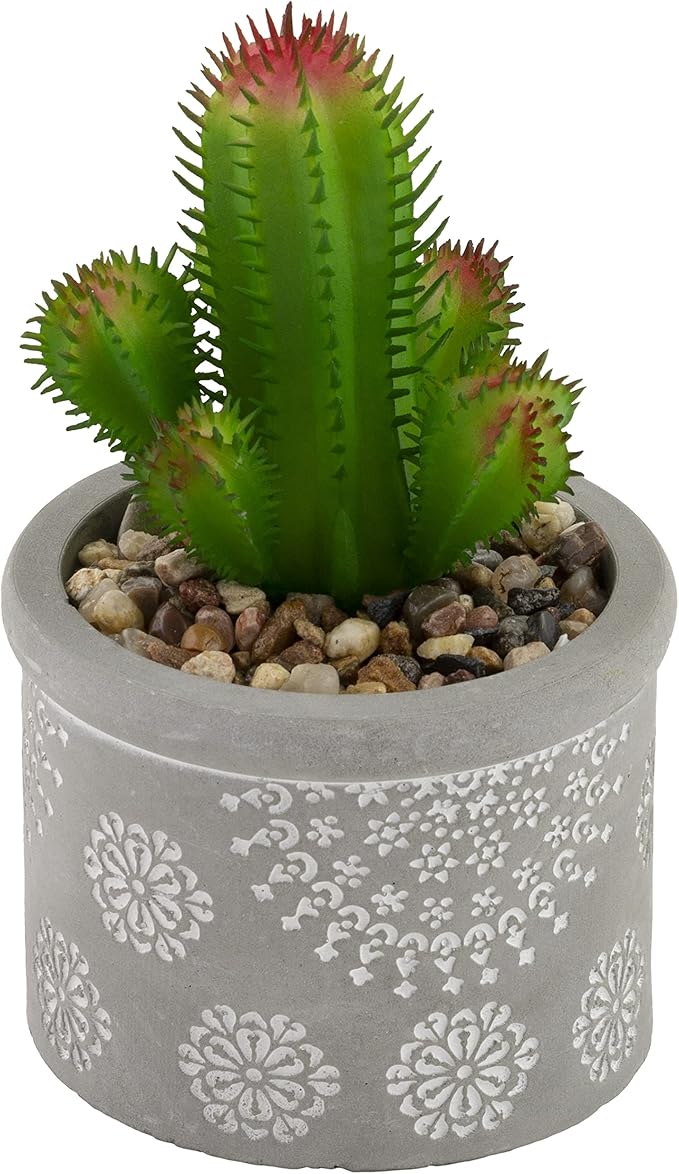Boston International Decorative Faux Succulent Plants, Set of 6, Society of Succulents