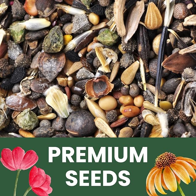 Hummingbird Butterfly Mix - Large 1 Ounce Packet - 7,500 Flower Seeds for Planting - Wildflower Mix