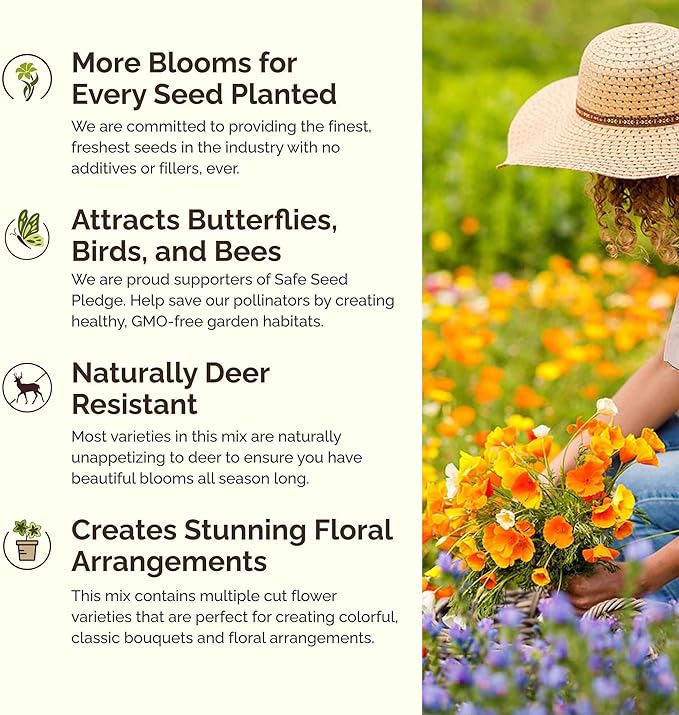 Eden Brothers New Mexico Wildflower Mixed Seeds for Planting, 1 oz, 30,000+ Seeds with Yarrow, Coreopsis | Attracts Pollinators, Plant in Spring or Fall, Zones