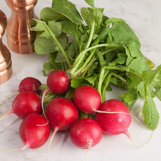 Seeds Red Ball Radish 20 Days Non GMO Vegetable for Planting