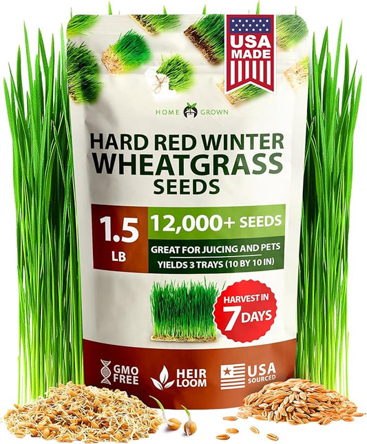 HOME GROWN Hard Red Winter Wheatgrass Seeds 12,000+ Bulk 1.5 lb Heirloom Non-GMO, Sprouting for Juicing, Healthy Smoothies, Pet Cat Grass, Microgreens, Indoor Garden (Triticum aestivum)