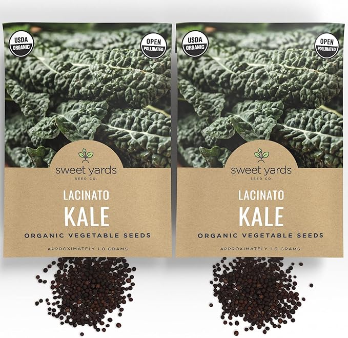 Organic Lacinato Kale Seeds - 2 Seed Packets! - Over 500 Open Pollinated Heirloom Non-GMO USDA Organic Seeds