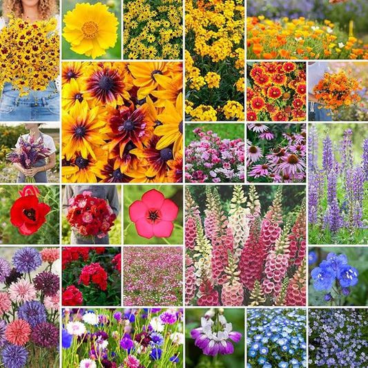 Eden Brothers Pacific Northwest Wildflower Mixed Seeds for Planting, 1/4 lb, 120,000+ Seeds with Cornflower, CA Bluebell | Attracts Pollinators, Plant in Spring or Fall, Zones 3, 4, 5, 6, 7, 8, 9, 10