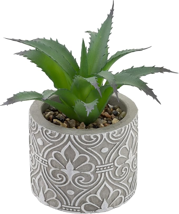 Boston International Decorative Faux Succulent Plants, Set of 6, Society of Succulents