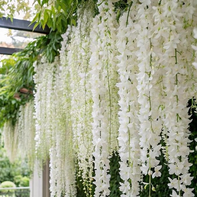 300+ Exotic Climbing Jasmine Flower Seeds for Planting Fragrant Plant Seeds Non-GMO Garden Home Jasmine Garden Balcony Climbing Flower