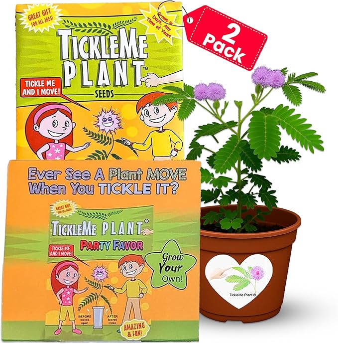 TickleMe Plant® Birthday Party Favors (2-Pack) – Touch It & Watch It Move! | Sensitive Plant Kids Grow Kit | Fun Interactive Indoor Gardening Gift for Kids, Classroom, STEM Activity