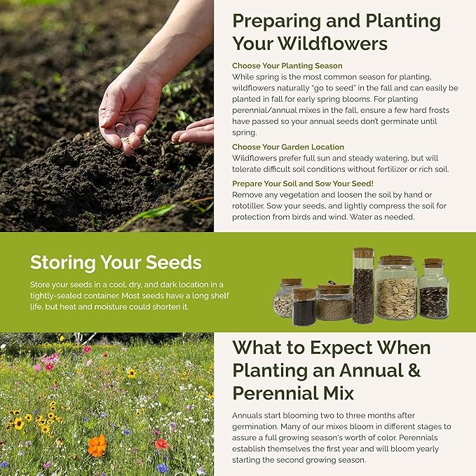 Eden Brothers Virginia Wildflower Mixed Seeds for Planting, 1 oz, 30,000+ Seeds with Five Spot, African Daisy | Attracts Pollinators, Plant in Spring or Fall, Zones