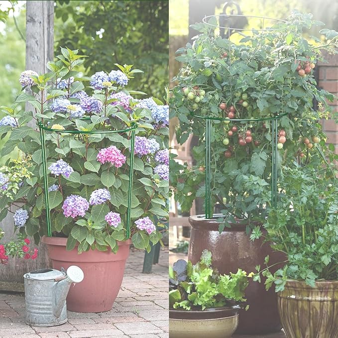 10 Pack 30 Inch Plant Support Stakes, Heavy-Duty Half Round Peony Support Ring Cage, Metal Garden Plant Stakes for Outdoor Plants - Peony, Tomato, Hydrangea with Cuttable Plant Ties