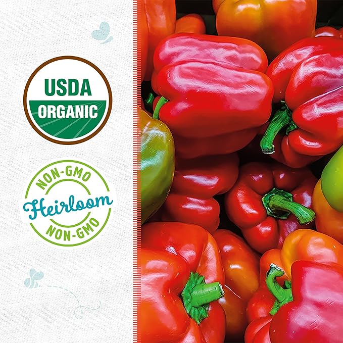 Back to The Roots 100% Organic Seed Packet - Bell Pepper 'Sweet Keystone Giant' 140mg