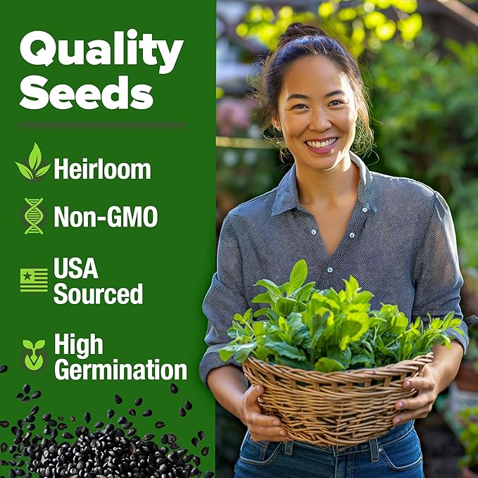 HOME GROWN Non GMO Common Mint Seeds (Bulk Pack) 1,800 Heirloom Herb Seeds, USA Sourced | Ideal for Planting Outdoors or Indoors for a Fresh Mint Tea Garden (Mentha spp)
