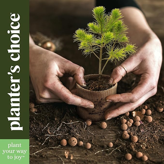 Planter's Choice Bonsai Tree Starter Kit - Unique Gifts for Women, Men - Birthday Gifts for Adults - Indoor Live House Plants - DIY for Adults Craft Kits - Hobby Gift Gardening Lovers