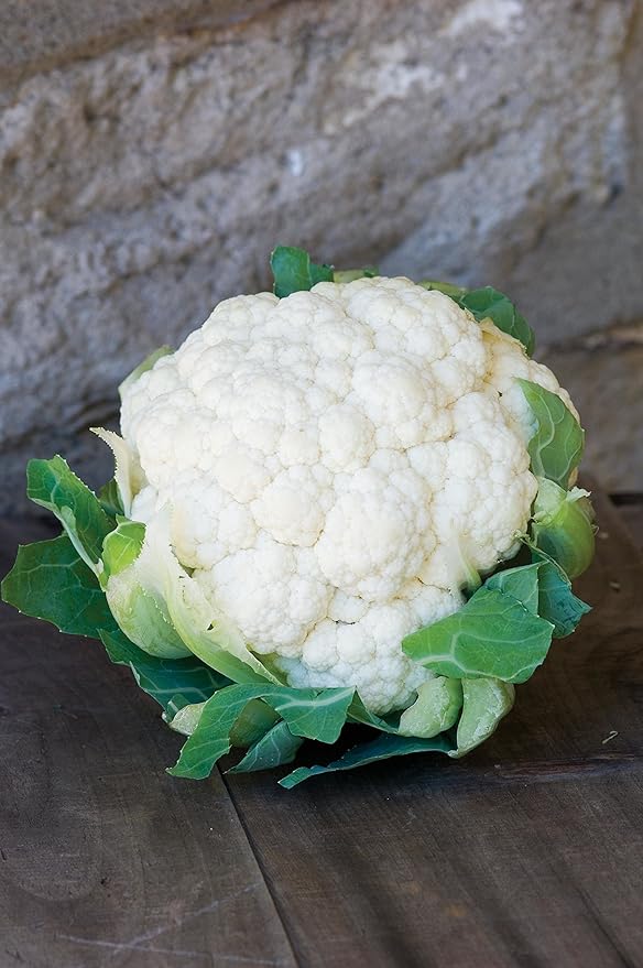 Burpee Snowball Y Organic Cauliflower Seeds 150 seeds