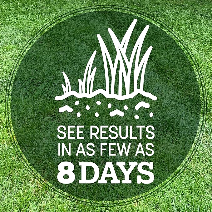 Pennington 100% Kentucky 31 Tall Fescue Penkoted Grass Seed 40 lbs