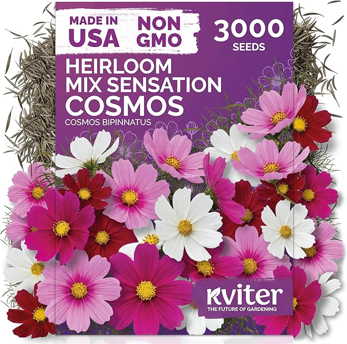 KVITER 3000 Mix Sensation Cosmos Seeds (Cosmos Bipinnatus) – Tall Cosmo Mix in Seed Packets, Butterfly Favorite, Non GMO Seed – Annual Flower Seeds for Outside, Outdoor Flower Garden, Ideal Cut Flower