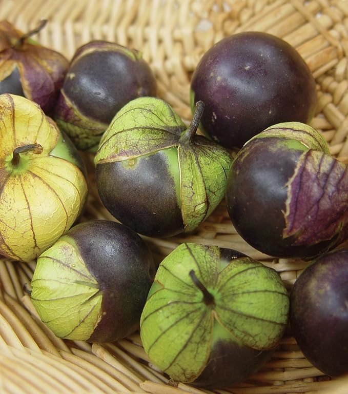 Burpee Purple Organic Tomatillo Seeds 80 seeds