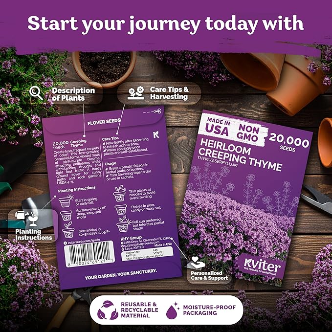 KVITER 20,000 Creeping Thyme Seeds (Thymus Serpyllum) – Wild Thyme, Aromatic Ground Cover, Purple Perennial Flower Seed Packets – Great Non GMO Herb Seeds for Outdoor Garden, Landscapes & Paths