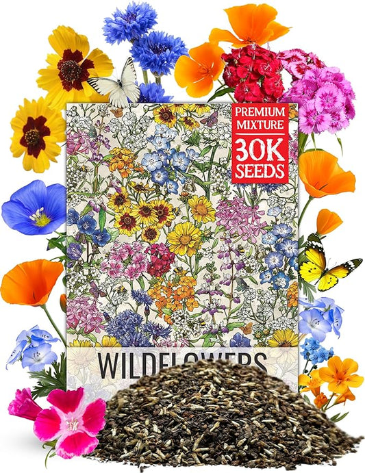 Seed Needs 2 Ounce Low Growing Wildflower Flower Seeds for Planting | Mixture/Blend 17 Varieties | Resealable Package Multicolored Blooms Open Pollinated Mixed Species | Bulk