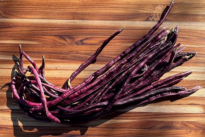 Plant Good Seed Chinese Red Noodle Bean Seeds for Planting: Asian Heirloom Yardlong Vegetable, Red Pods - 30 Seed Packet