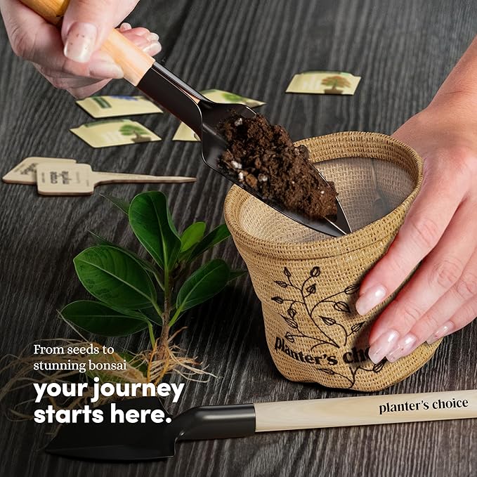 Planter's Choice Bonsai Tree Starter Kit - Unique Gifts for Women, Men - Birthday Gifts for Adults - Indoor Live House Plants - DIY for Adults Craft Kits - Hobby Gift Gardening Lovers