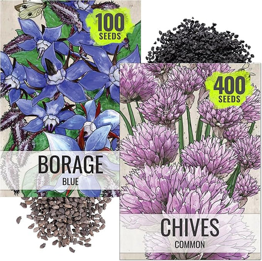Seed Needs Borage & Chives Seeds for Planting Fresh Kitchen Herbs - Non-GMO Heirloom & Untreated Perennial Herb Seed to Plant a Culinary Garden Indoors or Outdoors (2 Pack Duo)
