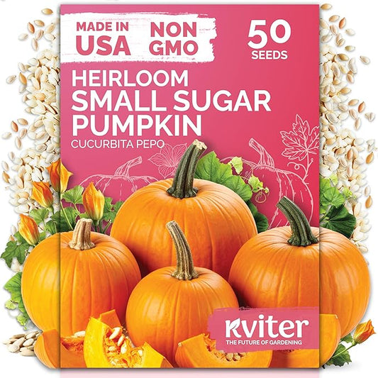 KVITER 50 Sugar Pumpkin Seeds Organic (Cucurbita Pepo) – Small Pumpkin Heirloom Seed, Sweet Fine-Grained Flesh for Canning & Pies – Vegetable Seeds for Planting in Outdoor Garden