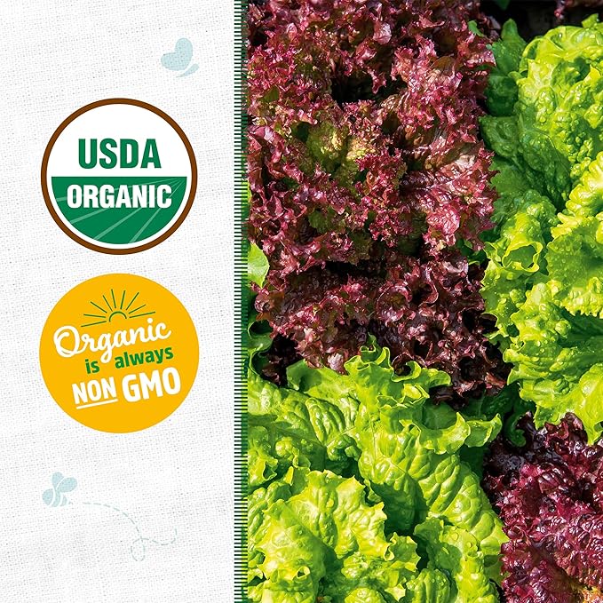 Back to The Roots 100% Organic Seed Packet - Lettuce 'Gourmet Blend' 420mg