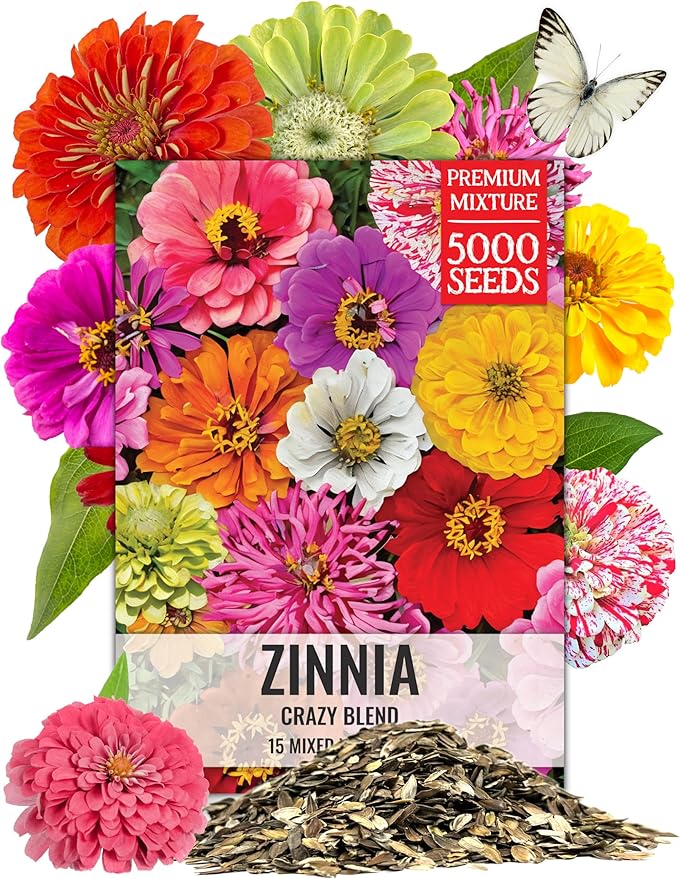Seed Needs Crazy Zinnia Seeds 15+ Varieties Specialty Blend | 5,000+ Seeds Zinnia Elegans Open Pollinated | Includes California Giants, Candystripe & State Fair Species | Bulk