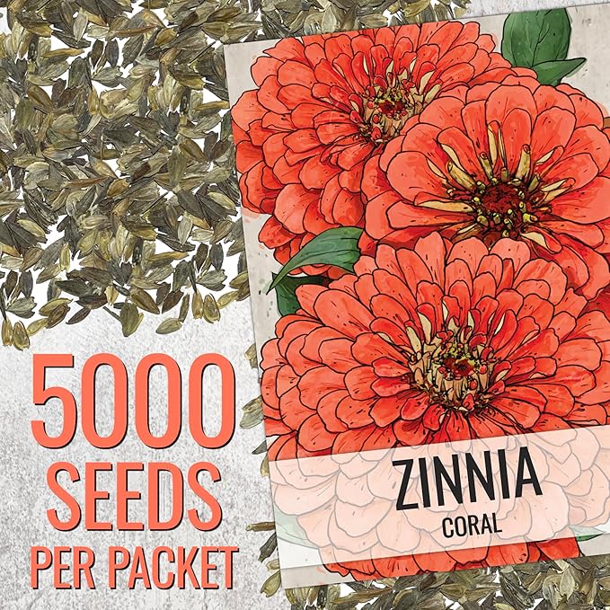 Seed Needs Zinnia Seeds Coral Variety Fast Blooming | 5,000+ Heirloom & Open Pollinated Seeds | Annual Cut Flowers Large Blooming | Bulk
