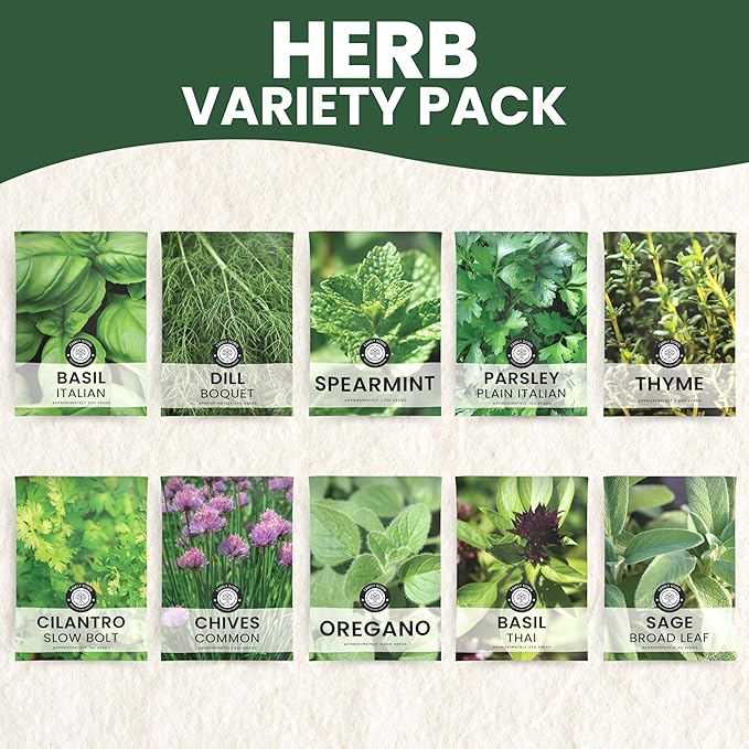 Herb Seeds | 10 Individual Packs | 2026 Season | Non-GMO | Mint, Parsley, Basil, Thyme & More! | for Planting Indoor & Outdoor | by Family Sown