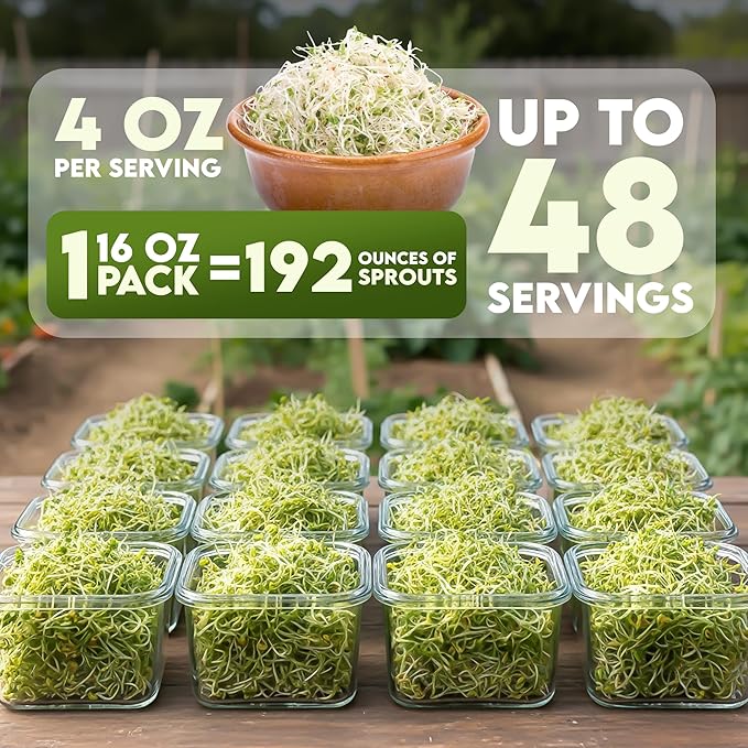 Nature Jims Organic Radish Sprout Seeds – 16 Ounce Premium Non-GMO Radish Seeds for Sprouting, Rich in Vitamins, Minerals, Fiber & Protein – Microgreen & Sprout Seeds for Home Growing