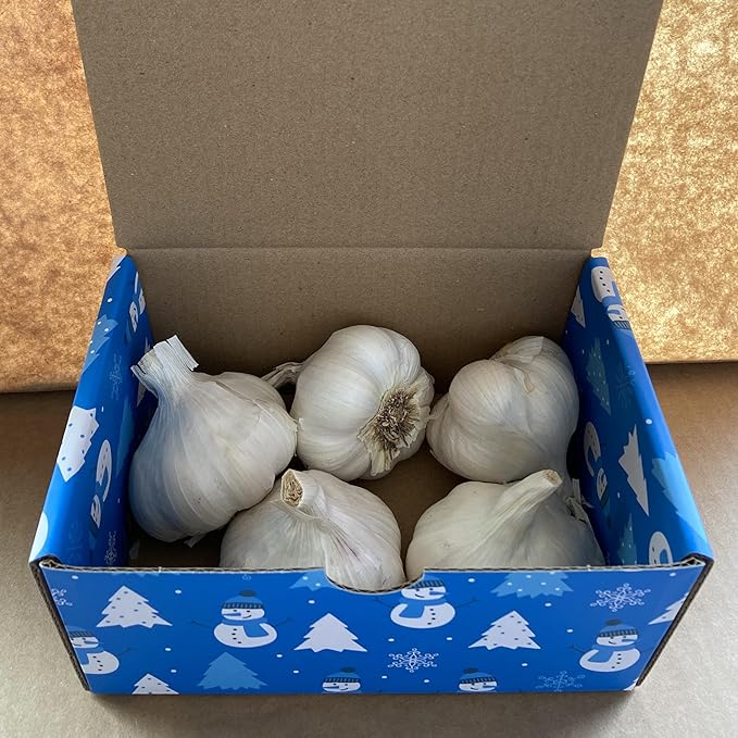 Garlic Seed Bulbs, Large Cloves, Cold Hardy, Bold Flavor (20)