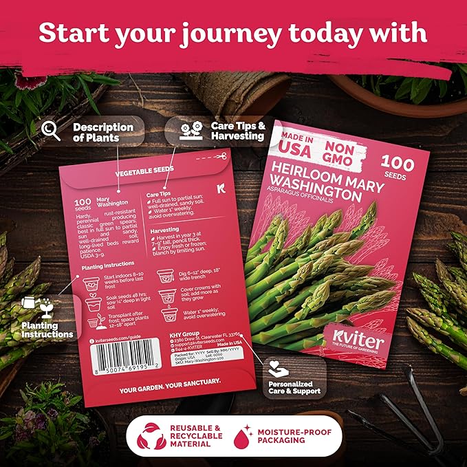 KVITER 100 Mary Washington Asparagus Seeds (Asparagus officinalis) – Heirloom Non GMO Asparagas Seed Packets Rust Resistant Perennial – Aspergus Vegetable Seeds for Planting Outdoors, Home Garden