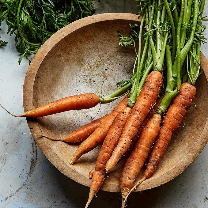 Burpee Organic Nantes Half Long Carrot Seeds - Sweet, Stump-Rooted Variety