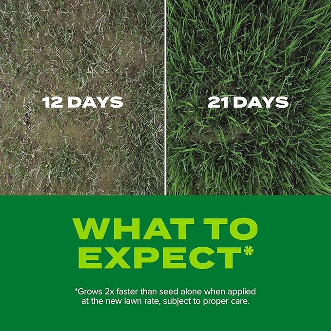 Scotts Turf Builder Rapid Grass Sun and Shade Mix, Combination Seed and Fertilizer, Grows Green Grass in Just Weeks, 2.4 lb.