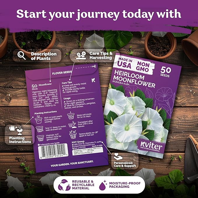 KVITER 50 Moonflower Seeds For Planting (Ipomoea alba) – White Morning Glory Seed Packets, Moon Flowers – Heirloom Vine White Flower Seeds Climbing Plants For Containers Indoor & Outdoor Flower Garden
