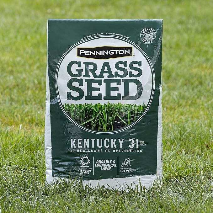 Pennington 100% Kentucky 31 Tall Fescue Penkoted Grass Seed 40 lbs